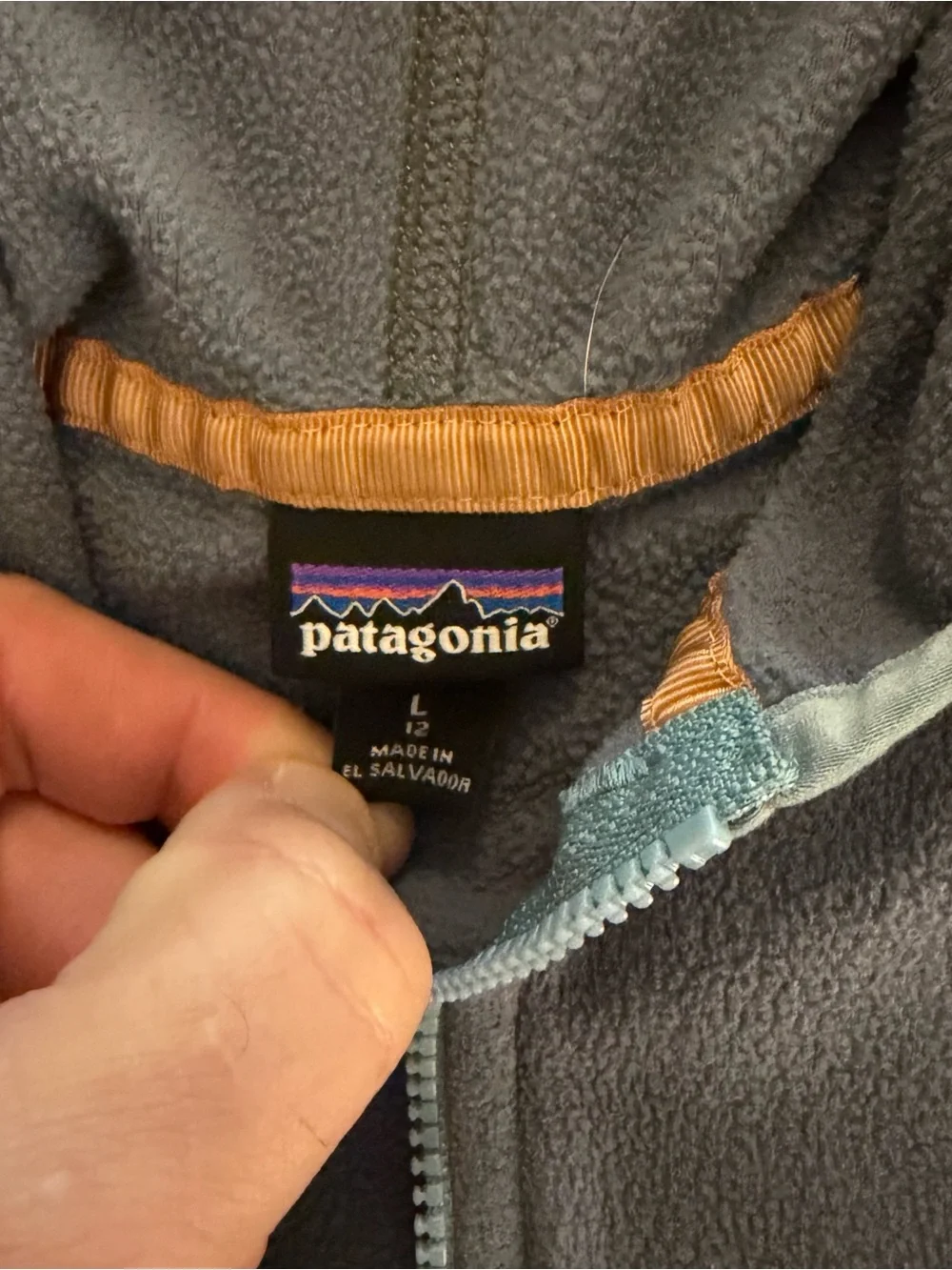 Patagonia Micro D Snap T Jacket
